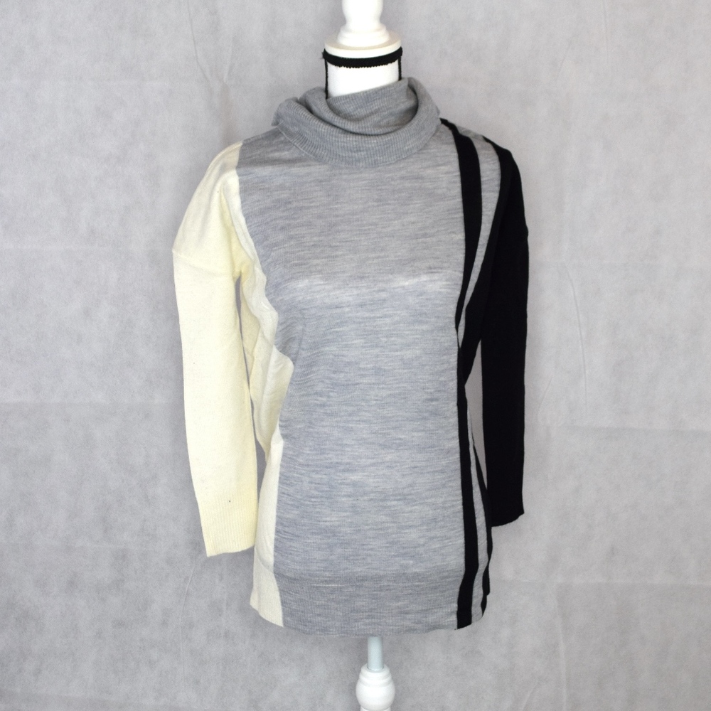 Max Studio Tunic Pullover- Merino Wool, Cowl Neck,